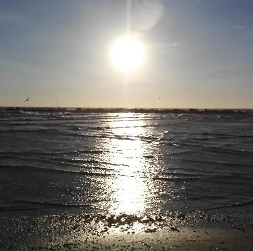 Orlando Lejlighed Porto Garibaldi