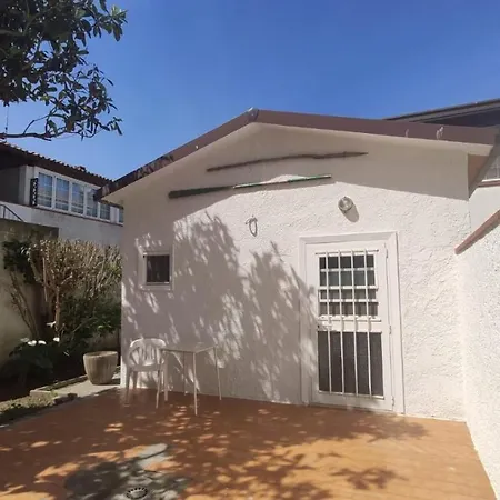 Orlando * 포르토 가리발디